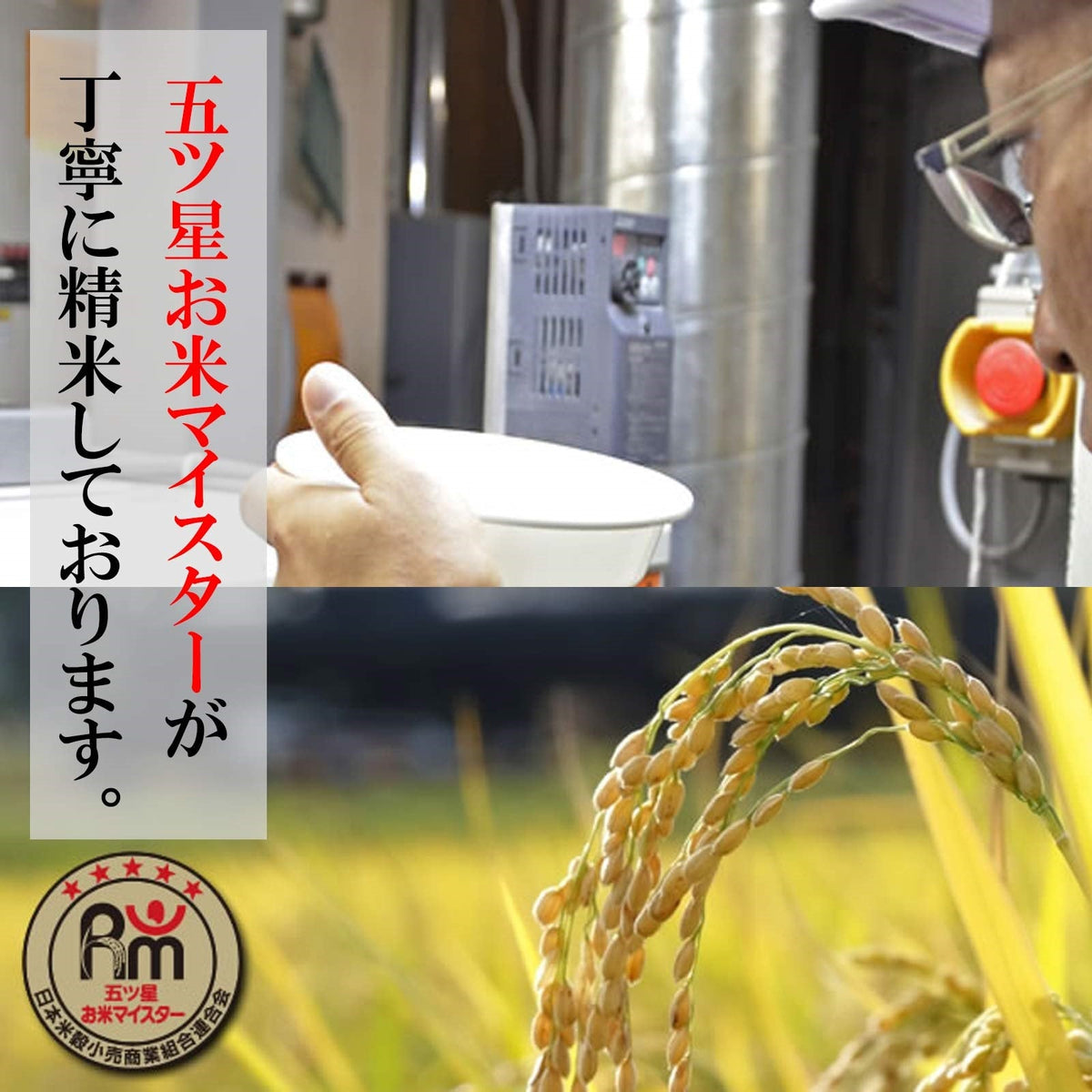 【限定クーポンで20%OFF】【受注精米】 令和3年産 米 お米 【 新潟県産 コシヒカリ 】 5kg x 4袋 3年 20kg