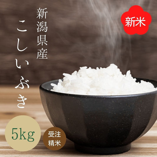 【受注精米】新米 令和4年産 お米 送料無料 【 新潟県産 こしいぶき 】 5kg 新潟米