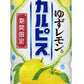 【送料無料】【期間限定】アサヒ ゆずレモン&カルピス 500ml×24本(1ケース)
