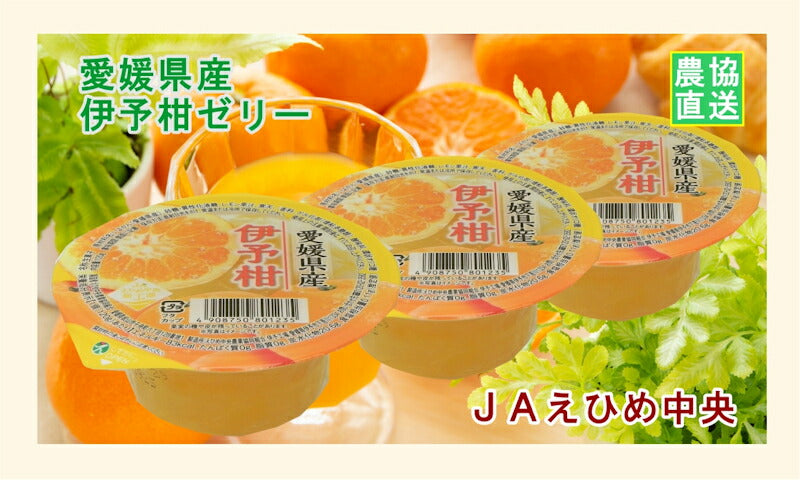 【ゼリー 柑橘類 伊予柑ゼリー 送料無料】愛媛県の農協 JAえひめ中央 愛媛の果実 伊予柑カップゼリー 伊予柑ゼリー 120g 30個【お中元 お歳暮 ギフト 贈り物】