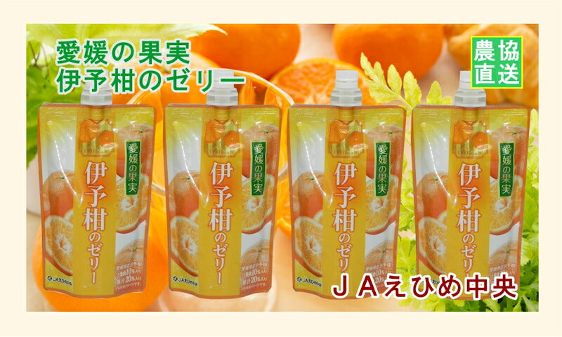 【ゼリー 柑橘類 伊予柑ゼリー 送料無料】愛媛県の農協 JAえひめ中央 愛媛の果実 飲む伊予柑のゼリー伊予柑ゼリー 150g 24個【お中元 お歳暮 ギフト 贈り物】