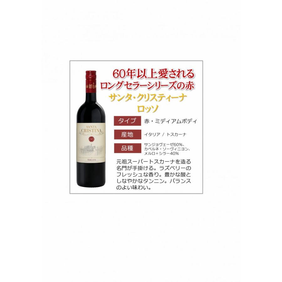 【送料無料】 ワインセット 当店厳選！売れ筋赤ワイン 750ml×5本セット【北海道・東北・九州・四国・沖縄県は必ず送料が掛かります】