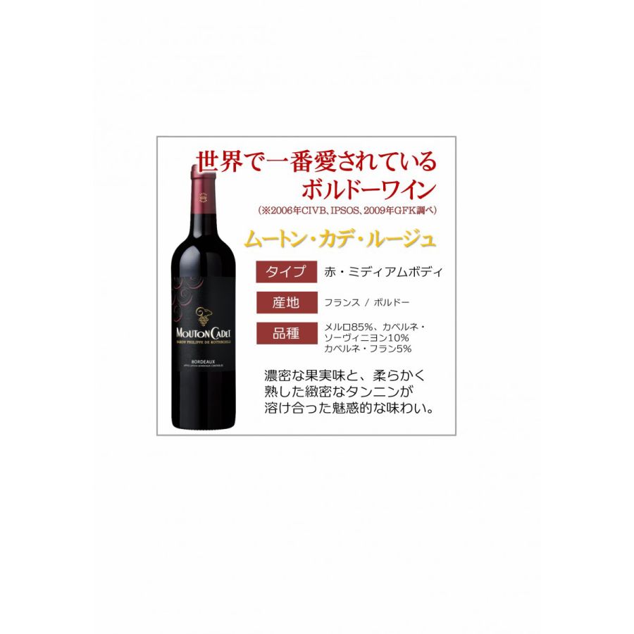 【送料無料】 ワインセット 当店厳選！売れ筋赤ワイン 750ml×5本セット【北海道・東北・九州・四国・沖縄県は必ず送料が掛かります】