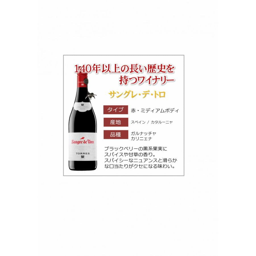 【送料無料】 ワインセット 当店厳選！売れ筋赤ワイン 750ml×5本セット【北海道・東北・九州・四国・沖縄県は必ず送料が掛かります】
