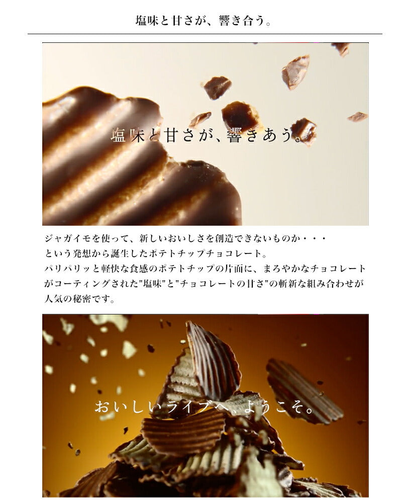 ロイズ ポテトチップチョコレート マイルドビター×2個セット ROYCE 北海道 人気 お菓子 スイーツ コーティング 大ヒット 定番 / チョコレート クリスマス