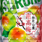 【送料無料】キリン 氷結 STRONG ストロング 和歌山県南高梅 500ml×2ケース【北海道・沖縄県・東北・四国・九州地方は必ず送料が掛かります】