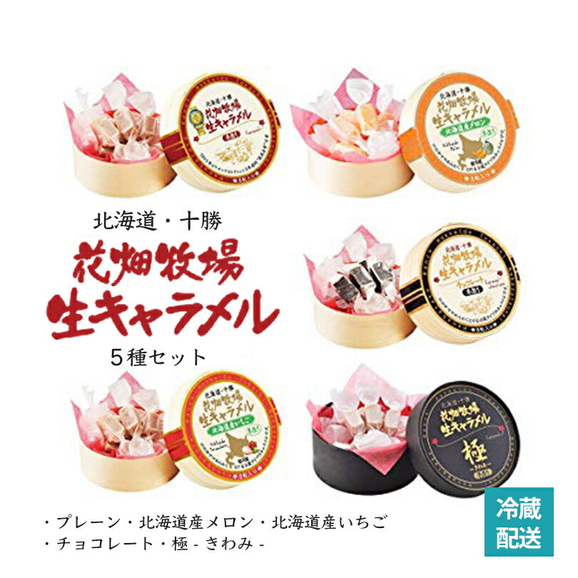 花畑牧場　生キャラメル5種セット【プレーン チョコ メロン いちご 極】 送料無料 北海道産 スイーツ 手造り とろける プレゼント 贈り物 お土産 手土産 ギフト モンドセレクション受賞 送料込