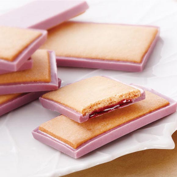 北の散歩道 ハスカップ 8個入【送料無料】 もりもと 北海道 お菓子 スイーツ クッキー チョコレート 果実