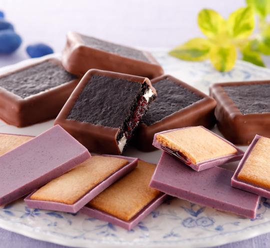 北の散歩道 ハスカップ 8個入【送料無料】 もりもと 北海道 お菓子 スイーツ クッキー チョコレート 果実