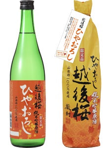 【2019年ひやおろし】【送料無料】越後桜 純米吟醸原酒 ひやおろし 720ml×6本【北海道・沖縄県・東北・四国・九州地方は必ず送料が掛かります】