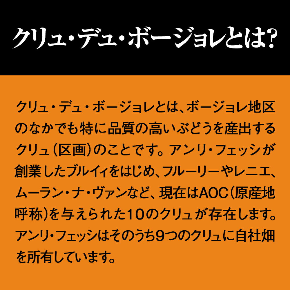 ボジョレーヌーボー 2019【2019年11月21日解禁日にお届け】アサヒ アンリ・フェッシ ボージョレ・ヴィラージュ ヌーヴォー 2019 750ml 1本【ご注文は1ケース(12本)まで同梱可能です】ボージョレーヌーボー