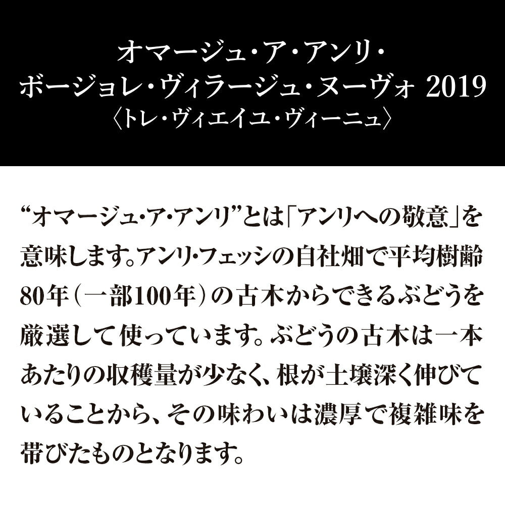 【予約】ボジョレーヌーボー 2019【11月21日解禁】【ギフトＢＯＸ入り】【予約】【数量限定】オマージュ・ア・アンリ・ボージョレ・ヴィラージュ・ヌーヴォ 750ml 1本【ご注文は1ケース(12本)まで同梱可能です】ボージョレ ヌーヴォー【アンリ・フェッシ】