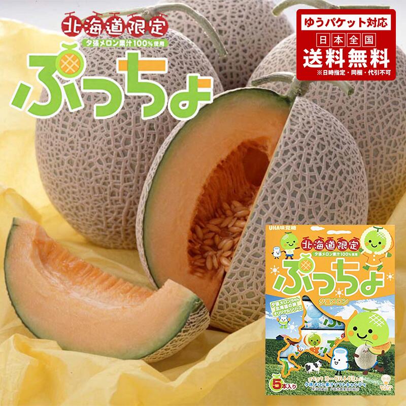 メール便 送料無料 同梱不可 UHA味覚糖 北海道限定 ぷっちょ 夕張メロン 10粒5本入×2個セット 北海道 地域限定 メロン果汁 お土産 手土産 贈り物 ギフト グルメ食品 お菓子 スイーツ