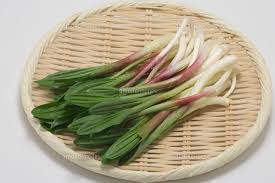 野菜塩 行者にんにく塩 35g×5個セット メール便 送料無料 北海道産 行者にんにく 料理 調味料 ギフト 贈り物 プレゼント