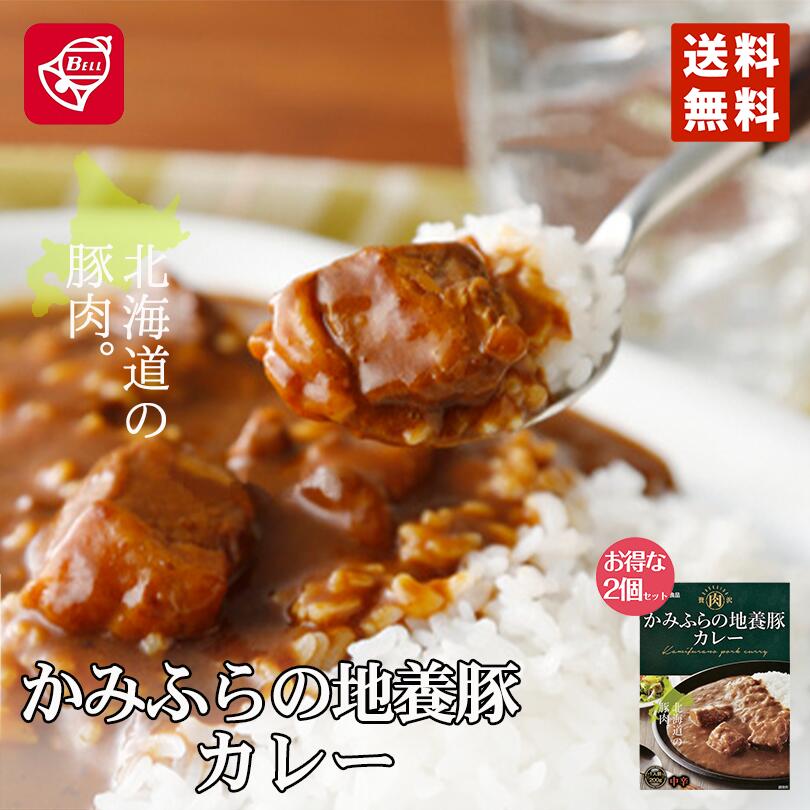かみふらの地養豚カレー 200g×2個セット 北海道 メール便 送料無料 十勝 お土産 プレゼント ギフト カレー レトルト 送料込