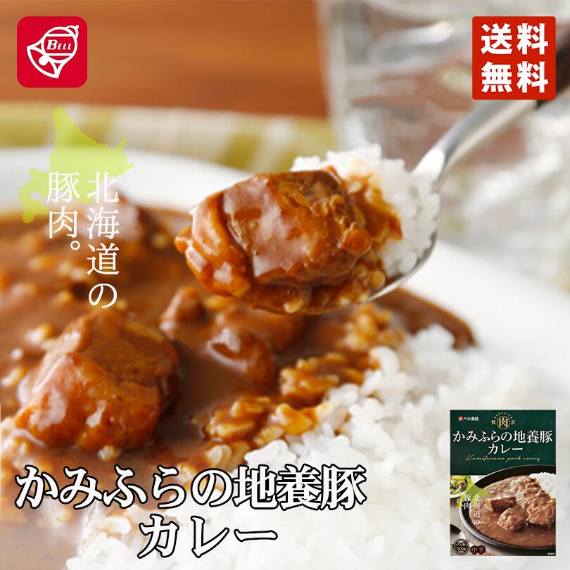 かみふらの地養豚カレー 200g 北海道 メール便 送料無料 十勝 お土産 プレゼントカレー レトルト ギフト 送料込 お取り寄せ