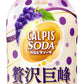 【送料無料】アサヒ飲料 カルピスソーダ 贅沢巨峰 450ml ×24本【北海道・東北・四国・九州・沖縄県は必ず送料がかかります】