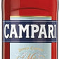 リキュール カンパリ 25度 750ml 1本【ご注文は12本まで1個口配送可能】