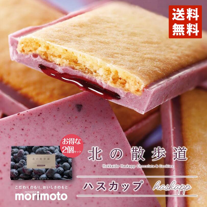 北の散歩道 ハスカップ 【8個入×2箱セット】【送料無料】【メール便】【同梱・日付指定不可】もりもと 北海道 千歳 お菓子 スイーツ クッキー チョコレート 果実