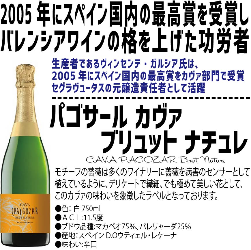 【送料無料】ワイン セット 辛口だけ！衝撃コスパ スパークリング セット  750ml 10本セット辛口 高炭酸 白 ロゼ 泡 ギフト【北海道・東北・四国・九州・沖縄県は必ず送料がかかります】