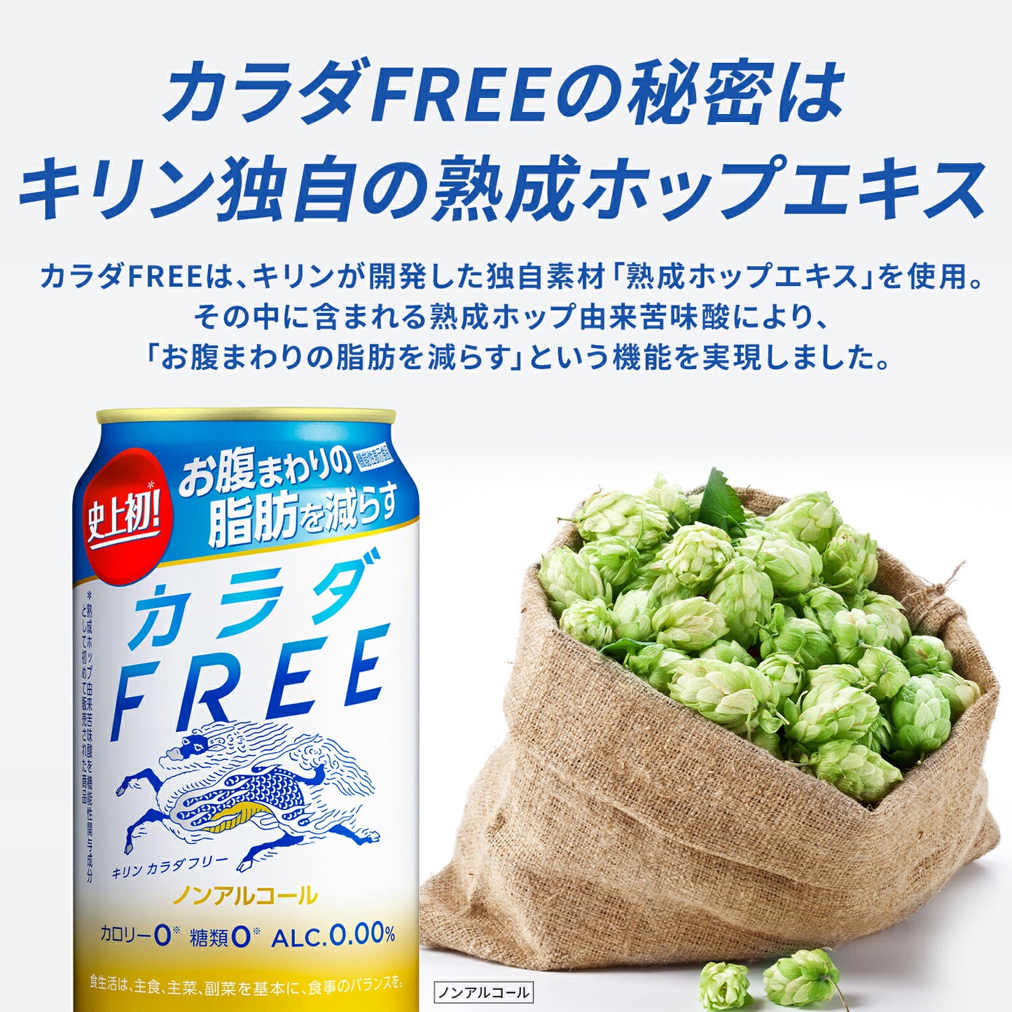 【送料無料】キリン カラダFREE カラダフリー 350ml×24本＋4本増量