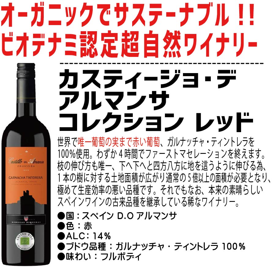 【送料無料】ワイン セット 冷やし専用！冷やして美味しい 赤ワインセット 750ml×6本【北海道・東北・四国・九州・沖縄県は必ず送料がかかります】