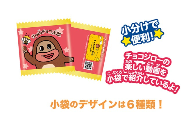 【送料無料】正栄デリシティ サク山チョコ次郎 ファミリーパック 24袋