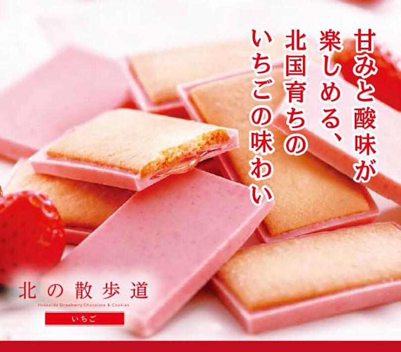 北の散歩道 3種のアソート 16個入 (らいでんメロン8個、ハスカップ・いちご各4個) 送料無料 もりもと 北海道 お土産 クッキー ラングドシャ  チョコ 贈り物 ギフト 銘菓 人気