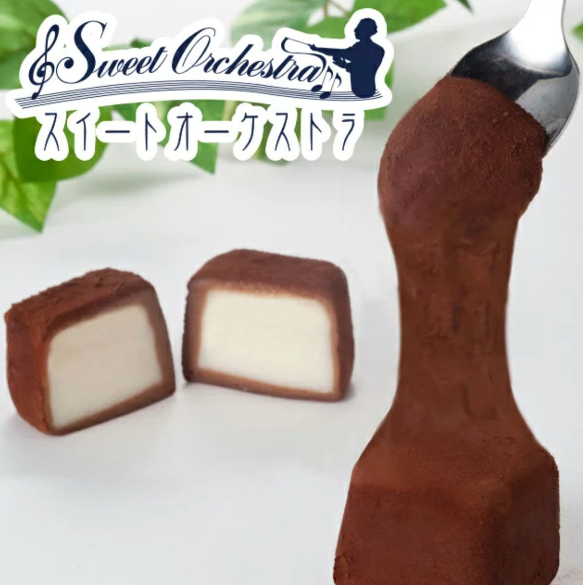 わらく堂 おもっちーず　ショコラ 6個 3個セット 送料無料 ひんやり スイーツ ギフト チーズケーキランキング1位 チーズケーキ 餅 多数メディア紹介 スイーツ北海道知事賞受賞 お土産 手土産 プレゼント 贈り物 送料込