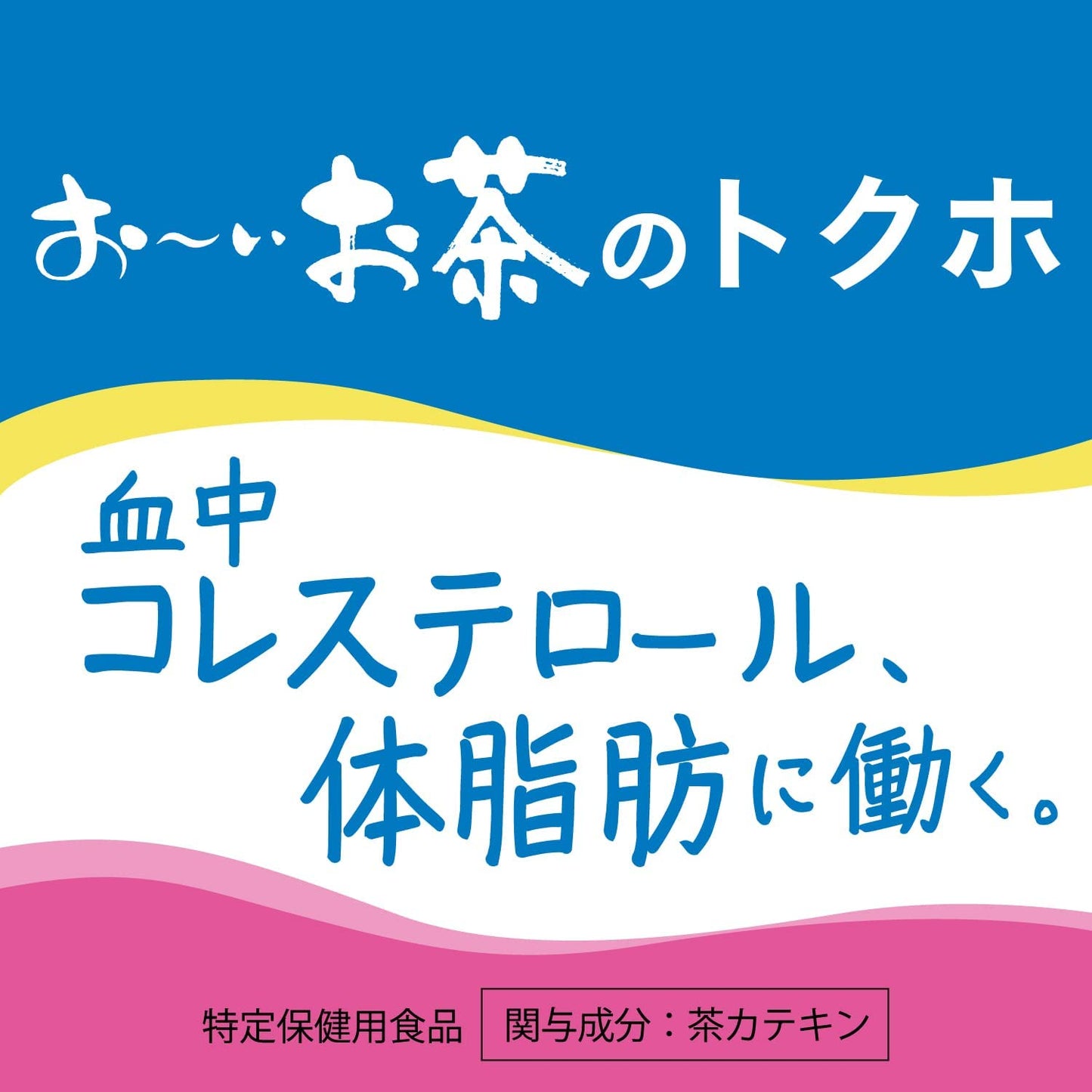 【送料無料】【特定保健用食品】伊藤園 お〜いお茶 カテキン緑茶 500ml×2ケース/48本特保 トクホ