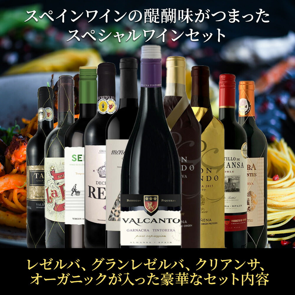 【送料無料】ワイン セット スペインワイン厳選10本絶品の長期熟成グランリゼルバ2本入り!【北海道・東北・四国・九州・沖縄県は必ず送料がかかります】