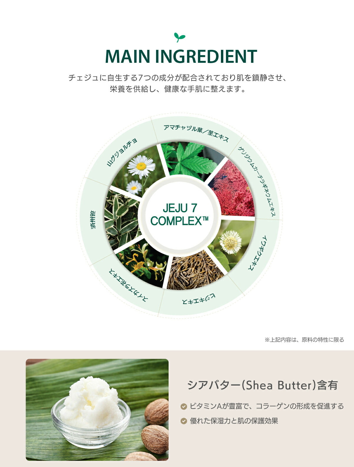 【最安値挑戦祭】【2種類セット】ハンドクリーム ハンドケア グリナリー 50ml intoskin 韓国コスメ ボディケア 手荒れ 乾燥 敏感 あかぎれ ひび シトラスハーブ フルーティフローラル プレゼント コスメ 化粧品 ギフト 定形外 送料無料