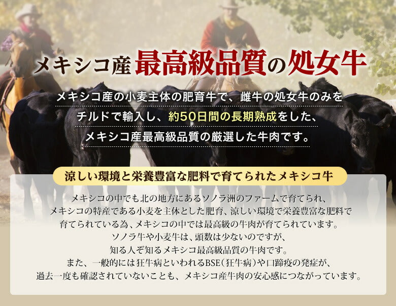 熟成牛 サーロインブロック1000ｇ