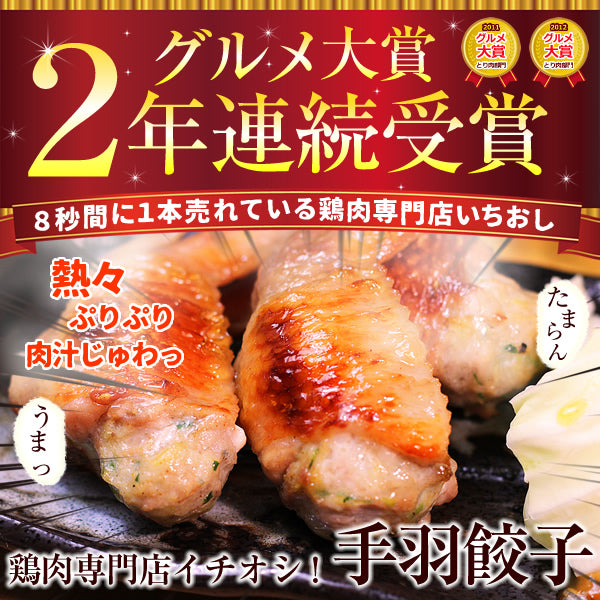 8秒に1本売れてる！手羽先餃子10本セット【シェア買いなら2,180円】