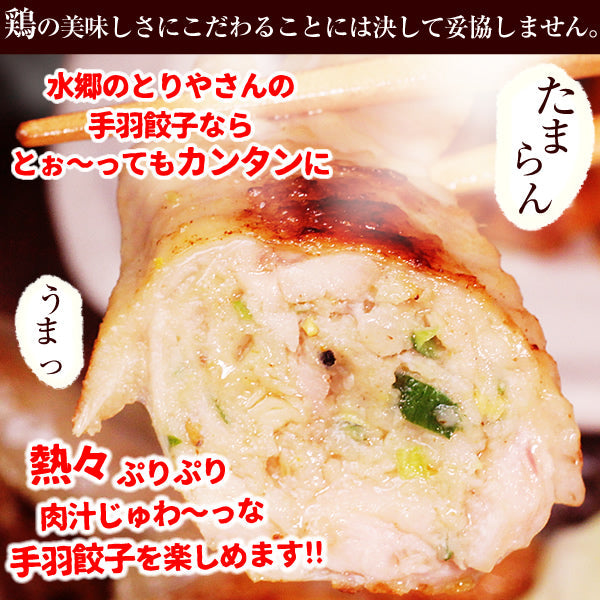 【限定クーポンで20%OFF】8秒に1本売れてる！手羽先餃子20本セット