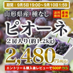 ≪予約商品≫【送料無料】【贈答用★ギフト】山形県産種なしピオーネ２房入り(約1.2kg)