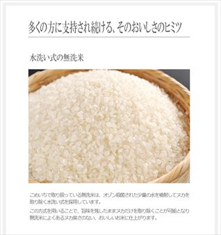 5kg×2袋【10kg】 無洗米 令和2年  九州 宮崎県産ヒノヒカリ 洗美味米(あらうまい)