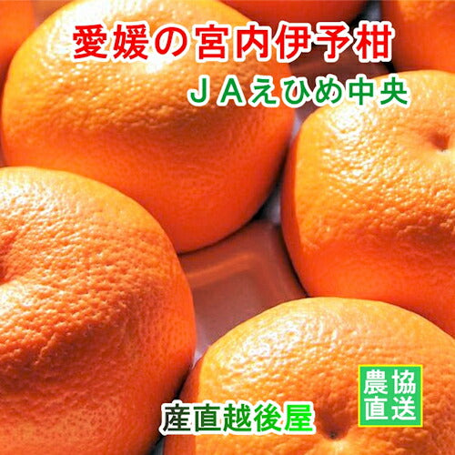 【みかん 伊予柑 愛媛県 送料無料】愛媛県の農協 JAえひめ中央 愛媛の伊予柑 2L 10kg農協産地直送便でお届け【ギフト 贈り物 プレゼント】