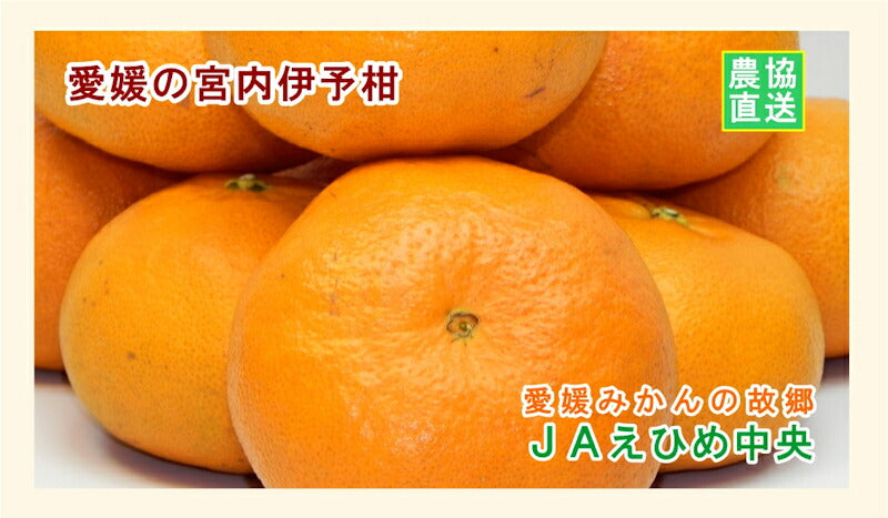 【みかん 伊予柑 愛媛県 送料無料】愛媛県の農協 JAえひめ中央 愛媛の伊予柑 2L 10kg農協産地直送便でお届け【ギフト 贈り物 プレゼント】