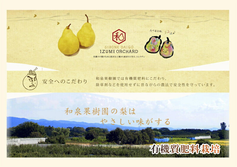 【フルーツ ルレクチェ ジュース 送料無料】新潟県白根 梨栽培農家 和泉果樹園ルレクチェ100％ジュース 500ml 2本化粧箱入【ル・レクチェ 梨 贈答品 プレゼント】