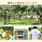 【フルーツ 梨 和梨 豊水 送料無料】新潟県白根 梨栽培農家 和泉果樹園有機質肥料栽培 豊水梨 5kg(7個～10個）家庭用【なし 贈答品 プレゼント】