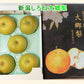 【フルーツ 梨 和梨 幸水 送料無料】新潟県白根 梨栽培農家 和泉果樹園有機質肥料栽培 幸水梨 5kg(7個～10個）化粧箱入【なし 贈答品 プレゼント】