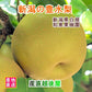 【フルーツ 梨 和梨 豊水 送料無料】新潟県白根 梨栽培農家 和泉果樹園有機質肥料栽培 豊水梨 10kg(14個～20個）化粧箱入【なし 贈答品 プレゼント】