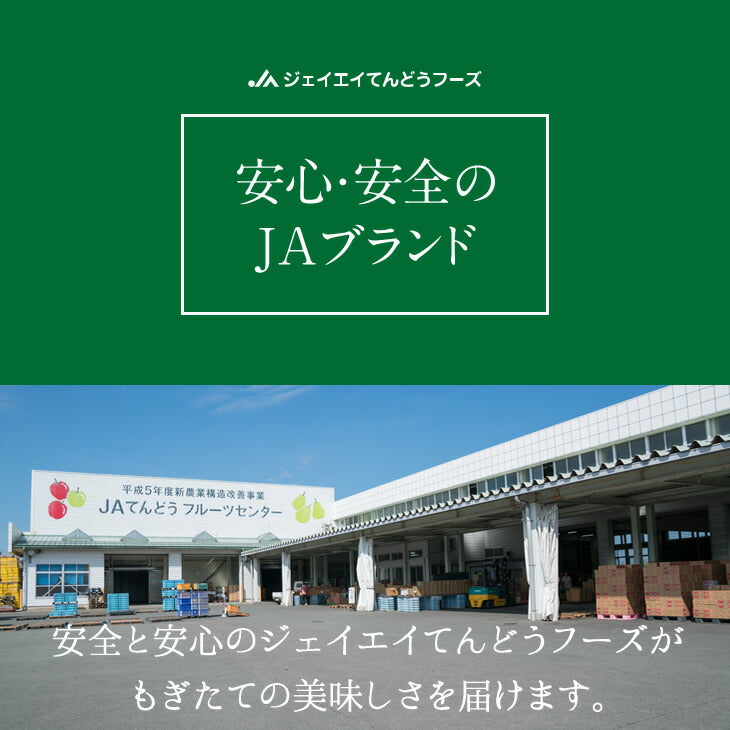 予約商品 送料無料 ギフト 山形県産青肉メロン(品種おまかせ)約2.5kg・2玉いり※一部地域は別途送料【のし対応】d2