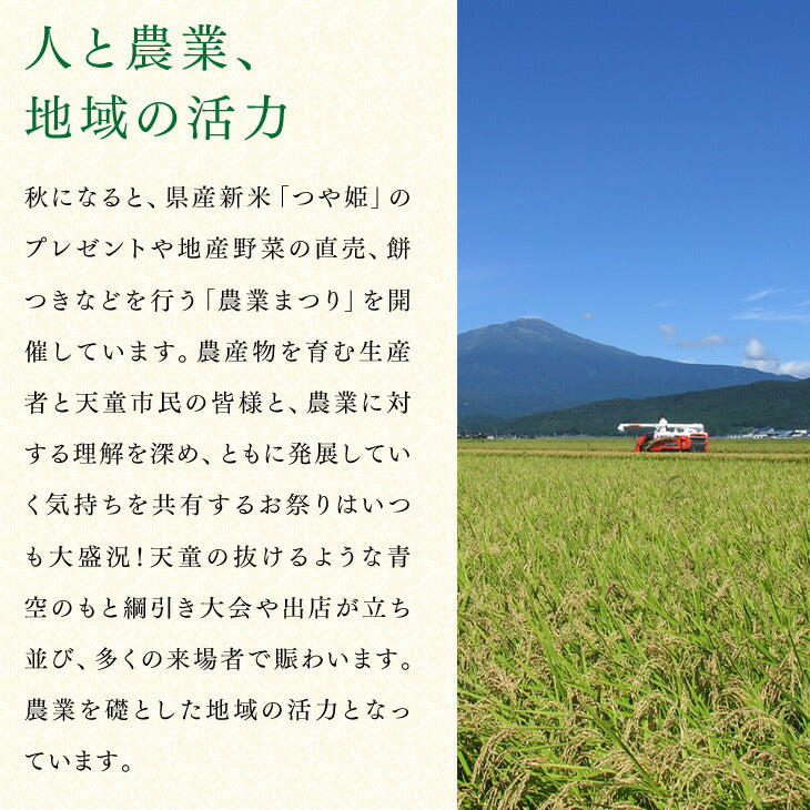 【早期予約】お買い得品 山形県尾花沢産すいか／M玉以上・1箱2玉いり※送料無料(一部地域を除く)wm04