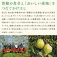 早期予約 贈答用 山形県産白桃 川中島 約3kg(8〜14玉) 果物　フルーツ　 ※一部地域は別途送料 pc03