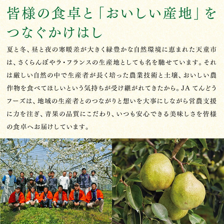 【早期予約】贈答用秀品 山形県産和梨かおり梨約5kg ※一部地域は別途送料追加