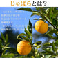 【100人シェア買い企画】約96粒(240g×2) じゃばら飴