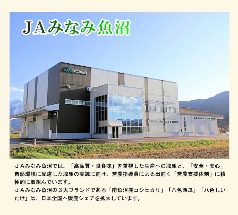 新潟県 JAみなみ魚沼農協 特Ａ地区 南魚沼産 コシヒカリ 5kg天地米