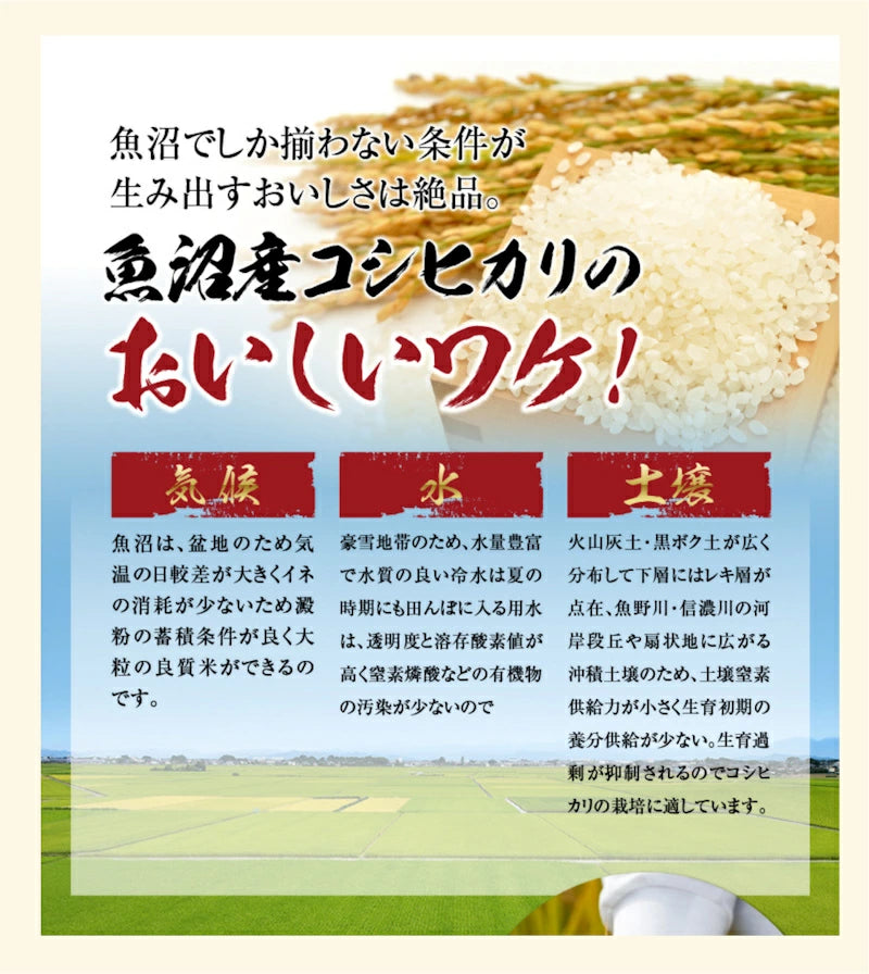 新潟県 JAみなみ魚沼農協 特Ａ地区 南魚沼産 コシヒカリ 5kg天地米